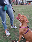 Porta Cocô Expansível para Pet + (BRINDE 50 SAQUINHOS)